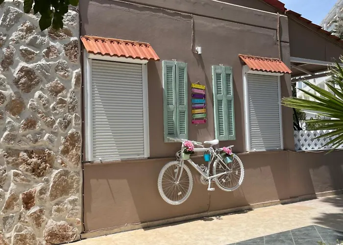 Bay View * 팔리라키