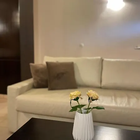 Bay View * 팔리라키